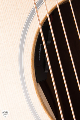 Taylor 14ce Torrefied Spruce Sapele Acoustic Guitar