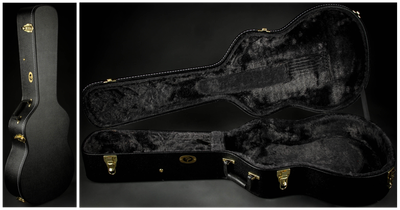 Case for Iris DF Sunburst Acoustic Guitar with Adirondack Spruce and Mahogany