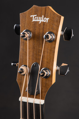 Taylor GS Mini e Bass Acoustic Bass