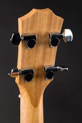Taylor GS Mini e Bass Acoustic Bass