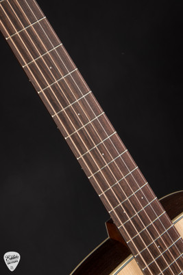 Iris WE Acoustic Guitar with Adirondack Spruce and Indian Rosewood