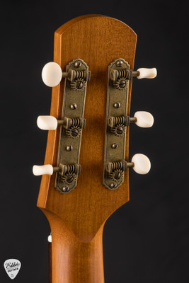 Iris WE Acoustic Guitar with European Spruce and Koa