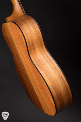 Iris WE Acoustic Guitar with European Spruce and Koa