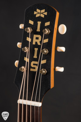 Iris WE Acoustic Guitar with European Spruce and Koa