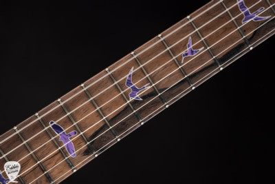 Paul Reed Smith Private Stock #11884 DGT (David Grissom Trem) Electric Guitar in Purple Glow