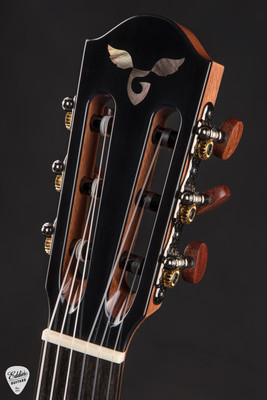 Goodall Crossover Cutaway Nylon Acoustic Guitar with German Spruce and Palo Escrito