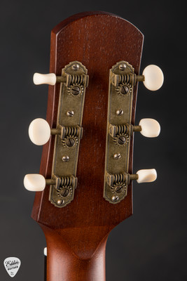 Iris WE Acoustic Guitar with Salmon Trap Sinker Sitka Spruce and Cocobolo