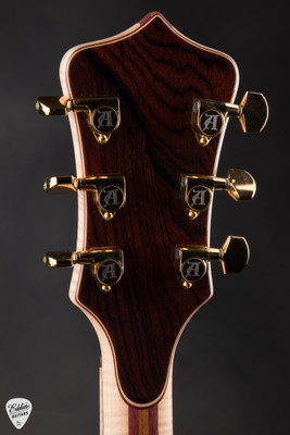 Alembic H 2 Tribute Cocobolo Electric Guitar