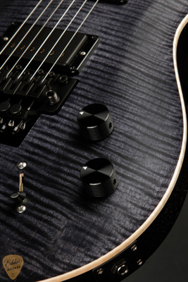 2023 - Paul Reed Smith DW (Dustie Waring) CE 24 "Floyd" - Satin Nitro Gray Black
