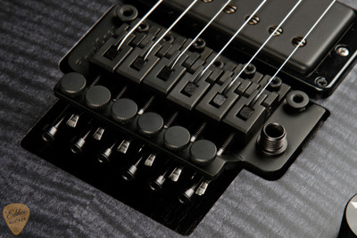 2023 - Paul Reed Smith DW (Dustie Waring) CE 24 "Floyd" - Satin Nitro Gray Black