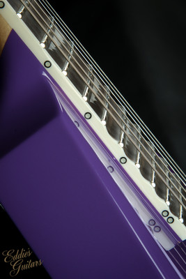 2023 - ESP LTD Alexi Hexed Purple Fade W/Pinstripes - Eddie's Guitars