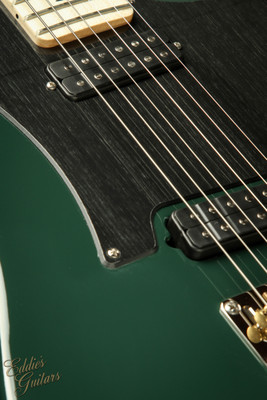 2023 - Paul Reed Smith Myles Kennedy - Hunters Green
