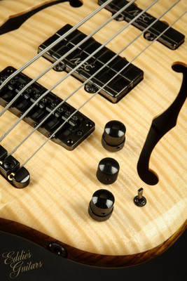 Warwick Custom Shop Masterbuilt Infinity Flamed Maple 5 String
