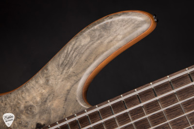 Fodera Monarch Elite Headless 6 Bass Guitar in Buckeye Burl