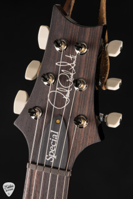 Paul Reed Smith Special Semi-Hollow Electric Guitar in Purple Mist