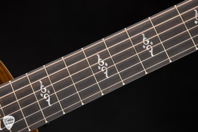 Taylor Gold Label 814e – Torrefied Spruce & Koa Acoustic Guitar