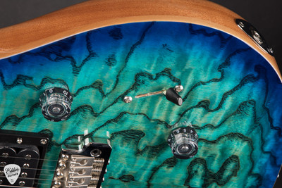 Paul Reed Smith SE Custom 24 Exotic Burled Ash Limited Edition Electric Guitar in Lake Blue