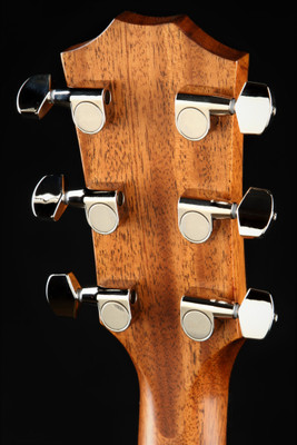 Taylor 317e - Eddie's Guitars