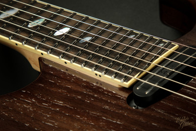 2022 - Caparison Horus-WB-FX EF - Trans Charcoal Black