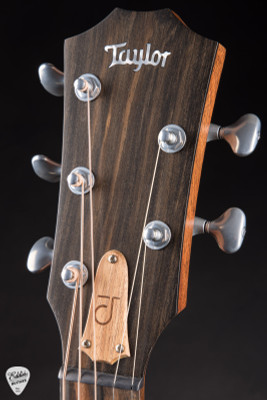 Taylor JCSM-5 Jacob Collier Signature 5-String Acoustic Guitar