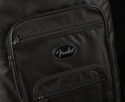 2022 - Fender Player Plus Stratocaster®, Pau Ferro Fingerboard - Opal Spark