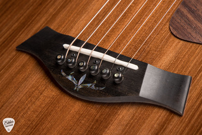 Taylor PS12ce 12 Fret Acoustic Guitar with Honduran Rosewood and Sinker Redwood