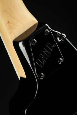 ESP LTD Alexi-200 - Black/Demo