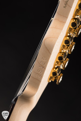 James Tyler Studio Elite HD-P Spalted Maple Electric Guitar in Honey Burst