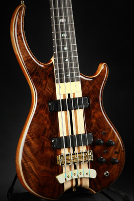 Hold - Demo - Alembic Rogue 5 String - Walnut