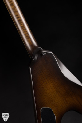 Dunable Asteroid Electric Guitar in Buckeye Burl