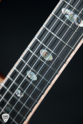 Alembic Spectrum Cocobolo electric guitar
