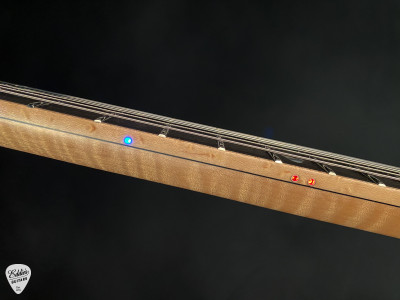 Alembic Spectrum Cocobolo electric guitar