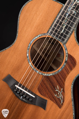 Taylor PS12ce – Honduran Rosewood/Sinker Redwood Acoustic Guitar