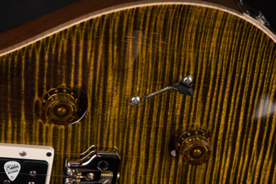 Paul Reed Smith 40th Anniversary Custom 24 Limited Edition Electric Guitar in Tiger Eye