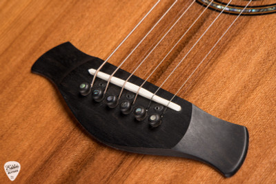 Taylor Builder’s Edition 914ce Acoustic Guitar