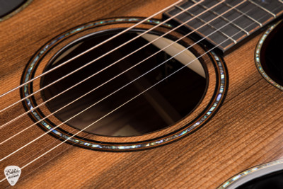 Taylor Builder’s Edition 912ce Acoustic Guitar