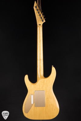 ESP Custom Shop 50th Anniversary Horizon-CTM - Tiger Eye Burst #11