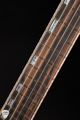 ESP Custom Shop 50th Anniversary Horizon-CTM - Tiger Eye Burst #11/30 / NAMM 2025