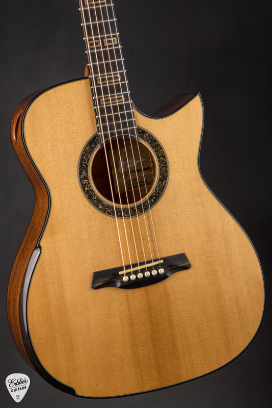 Shop Hozen Acoustic Guitars at Eddie's Guitars