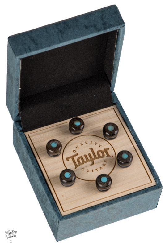 Taylor Custom Water Buffalo Bone Bridge Pins Brown with Turquoise Opal Inlays