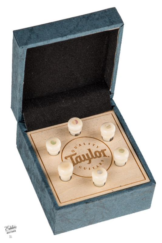 Taylor Custom Water Buffalo Bone Bridge Pins White with Awabi Shell