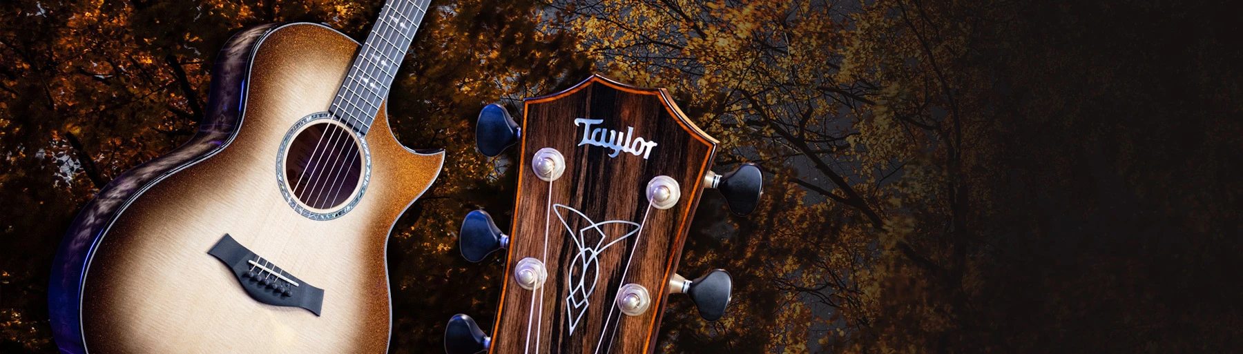Taylor Acoustic Guitar