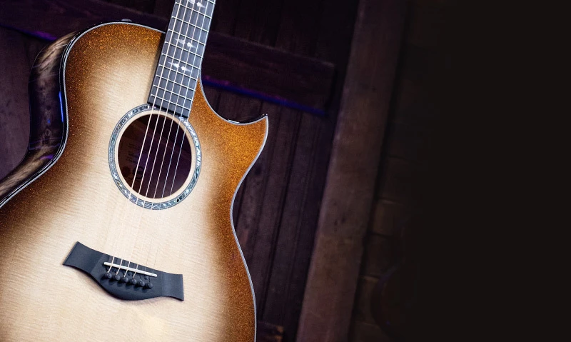 Taylor Acoustic Guitar