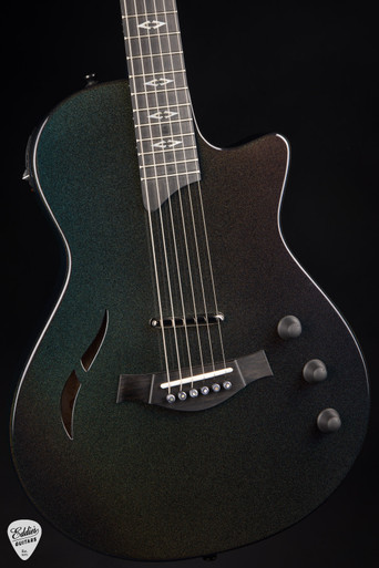 2024 - Taylor T5z Custom - Big Leaf Maple & Shamel Ash