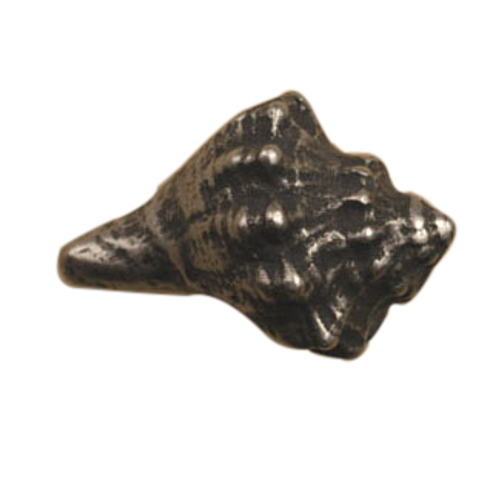 Conch Shell-Lg Knob