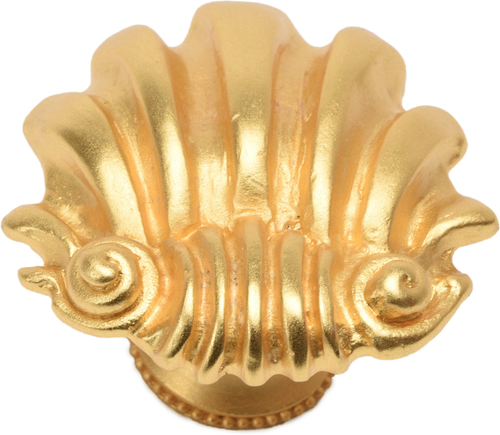 Aphrodite large shell knob 345-8
