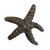 Dancing Starfish Knob