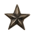 Star-Lg Knob