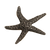 Starfish-Sm Knob