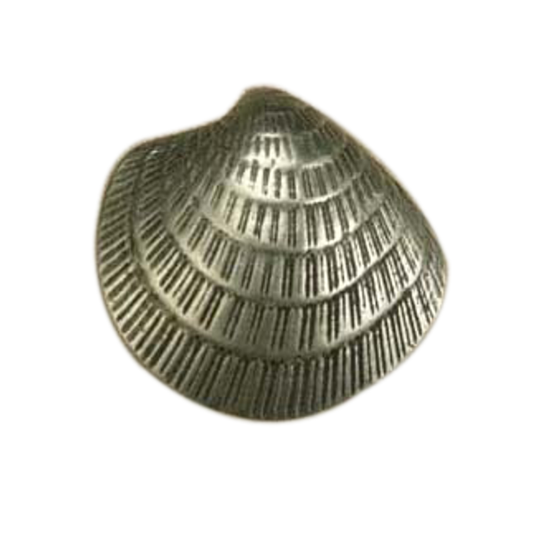 Sm. Clam Shell Knob